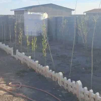 باغ ویلا مفت صوفیان|فروش خانه و ویلا|صوفیان, |دیوار