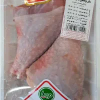 ساق ران بوقلمون تاریخ روز