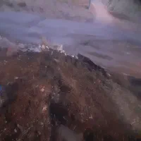 کود حیوانی(گوسفندی)|خدمات باغبانی و درختکاری|یاسوج, |دیوار