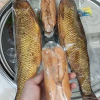 فروش انواع ماهی سفید دودی لوکس و اشبل|ماهی|رشت, چمارسرا|دیوار