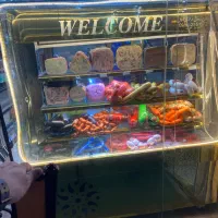 یخچال و لوازم کامل پروتوینی|فروشگاه و مغازه|رشت, حمیدیان|دیوار