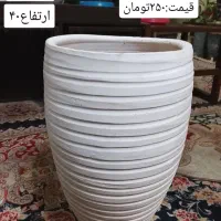 گلدان سفالی|گل و گیاه طبیعی|شاهینشهر, حافظ شمالی|دیوار