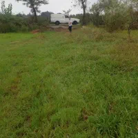 فروش زمین کشاورزی به متراژ 730 متر