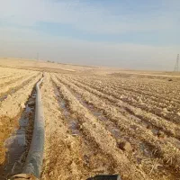 باغ ۴۰۰۰ متری ۶ دانگ