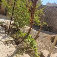 منزل قدیمی هویه|فروش زمین و ملک کلنگی|ابریشم, |دیوار