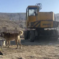 بیل مکانیکی لاستیکی