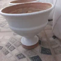 گلدان|گل و گیاه طبیعی|ایلام, |دیوار