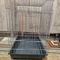 قفس|لوازم جانبی حیوانات|شاهین‌شهر, فیض|دیوار