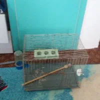 قفس کوچک پرنده