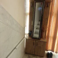 جاکفشی
