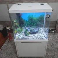 آکواریوم دلیا سایز ۵۰ با میز