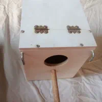 اغل فنچ|لوازم جانبی حیوانات|مشهد, امیریه|دیوار