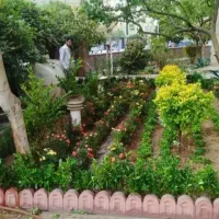 خدمات باغبانی گل کاری هرس کاری تعویض خاک گلدان|خدمات باغبانی و درختکاری|تهران, گیشا|دیوار