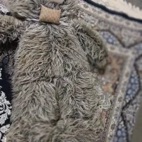 خرس بالای 1.5 متری