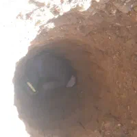 نیازمند حفار چاه یا مقنی|استخدام صنعتی، فنی، مهندسی|فسا, |دیوار