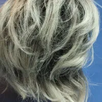 گلاه گیس|آرایشی، بهداشتی، درمانی|مشهد, فدک|دیوار