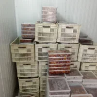 فروش خرماکبکاب بافق