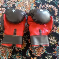 دستکش بوکس|تجهیزات ورزشی|دورود, |دیوار