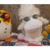 عروسک پالیشی|اسباببازی بچه|تهران, اختیاریه|دیوار