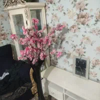 وسیله خونه سالم