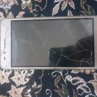 معامله بایک جوجه عروس هلندی یاجوجه خروس نسل دار