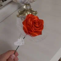 گل روبانی دررنگبندی متفاوت