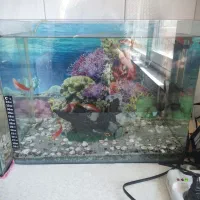 آکواریوم شیشه خم