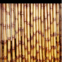 ه ن ر چ و ب|صنایع دستی و سایر لوازم تزئینی|رشت, منظریه|دیوار