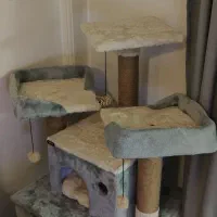 درخت گربه برند آدریاناپت