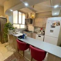 نقل نبات /سند تک برگ /فول امکانات