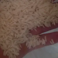 برنج‌هاشمی