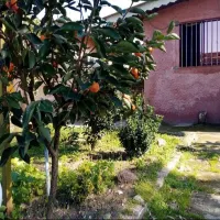 اجاره سویت ویلا روزانه با ظرفیت بالا کولر پارکینگ|اجارهٔ کوتاه‌مدت آپارتمان و سوئیت|رشت, جانبازان|دیوار