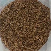 چایی به با کیفیت و کاملا ارگانیک درجه یک