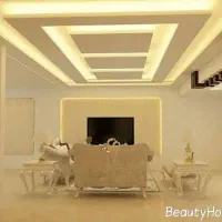 سقف کاذب . نقاشی. برق