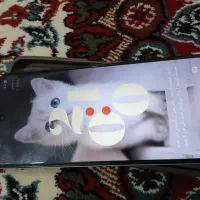 گوشی ردمی 13شیائومی|موبایل|قم, نیروگاه|دیوار