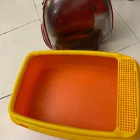 کوله و ظرف خاک گربه