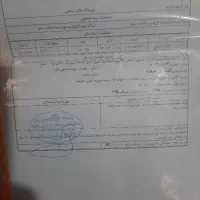 حواله شاهین جی