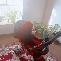 کالسکه|کالسکه و لوازم جانبی|گلبهار, نوبهار|دیوار