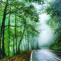 تور یک روزه فرداجمعه 14 آذر|تور و چارتر|رشت, لاکان شهر|دیوار