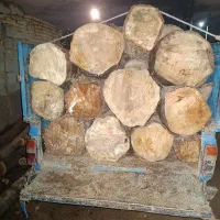 چوب کاج مناسب صندلی و کارهای خراطی  اسلب