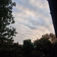 یک ایرپاد پیدا شده