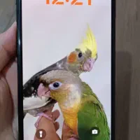 Xs max 256|موبایل|فردیس, قریشی|دیوار