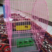 قفسه پرنده