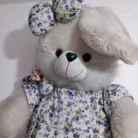 خرگوش بزرگ وسالم