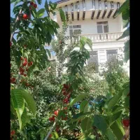 ۱۵۰متر بنا با چاه آب کنتور برق دشت۲گرمابسرد ویلا