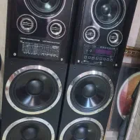 باند خانگی مینگو