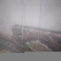 لوازم ماهی گیری