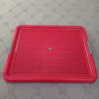 سینی ادرارپت