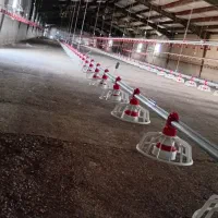 کلیه تجهیزات مرغداری