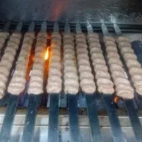 تهیه غذا مستر سامی